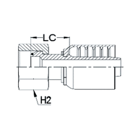 BSPP N SERIES (HIGH PRESSURE) | Female Straight - PRODUCT IMAGE