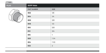 PLUG | BSPP MALE - TECHNICAL DETAILS