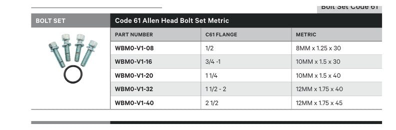 BOLT SET | CODE 61 ALLEN HEAD BOLT SET METRIC - TECHNICAL DETAILS