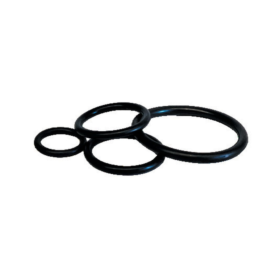 O-RINGS / DOWTY SEALS | BSPP O-RING - PRODUCT IMAGE