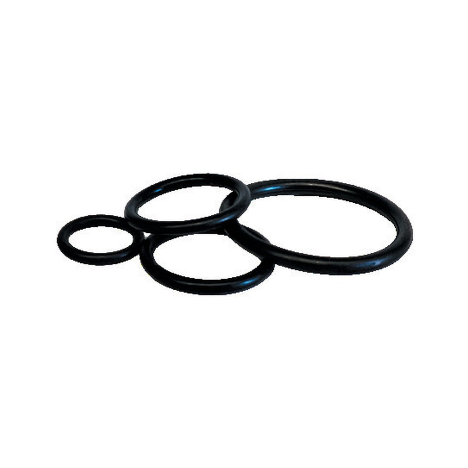 O-RINGS / DOWTY SEALS | METRIC DIN O-RING - PRODUCT IMAGE